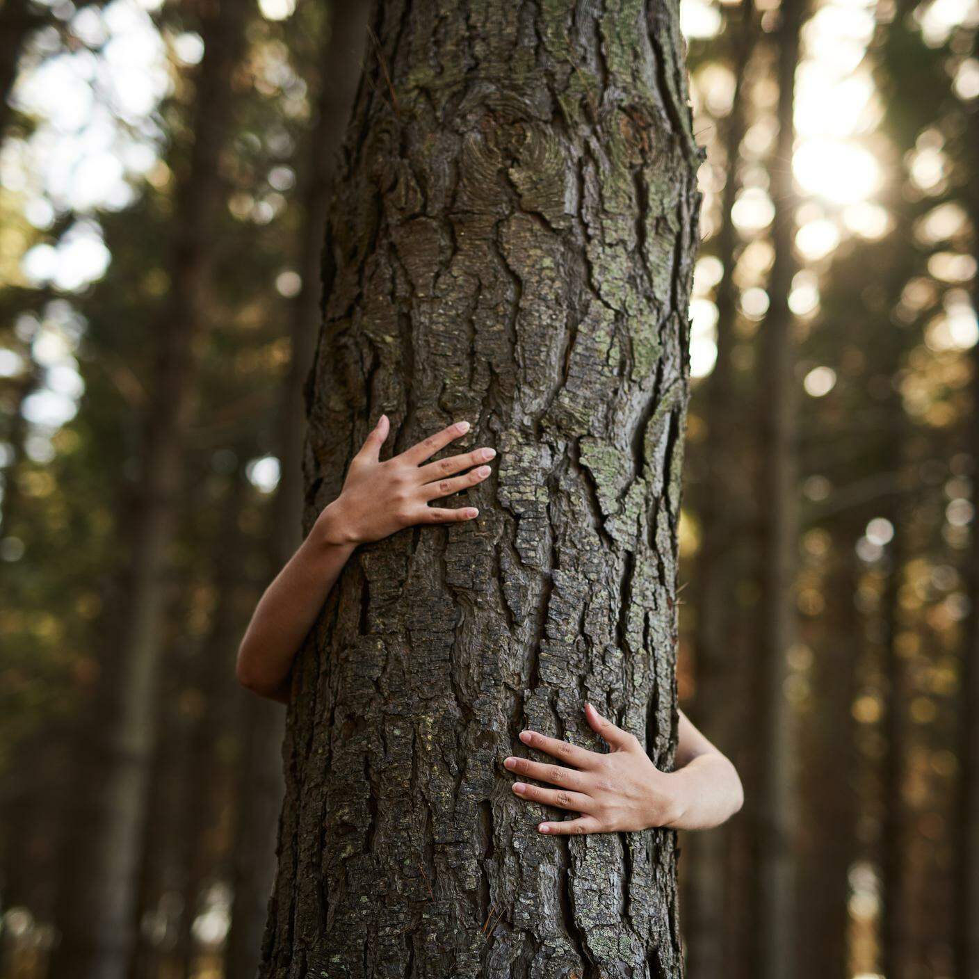 Abbracciare un albero - iStock