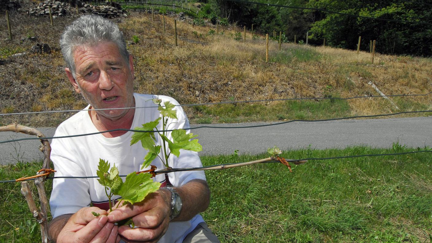Luciano Biondini a Monticello - Ti-Press