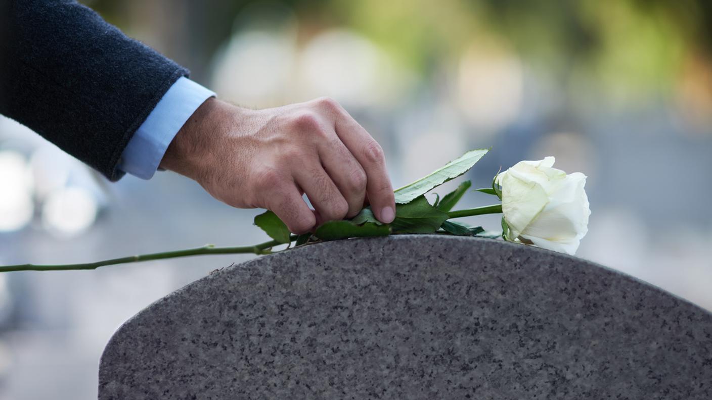 iStock-Fiore, Fiore singolo, Mazzo di fiori, Pietra, Mano umana