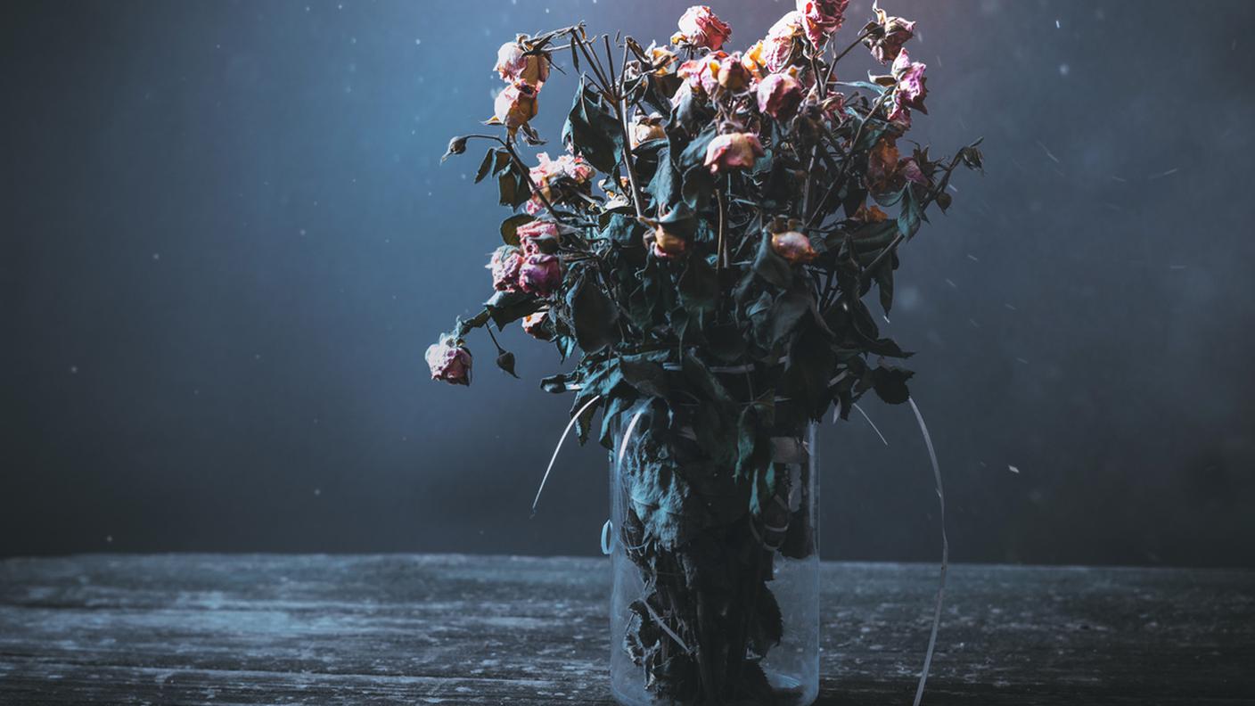 iStock-Morto, Fiore, Vaso, Bouquet, Cibi e bevande