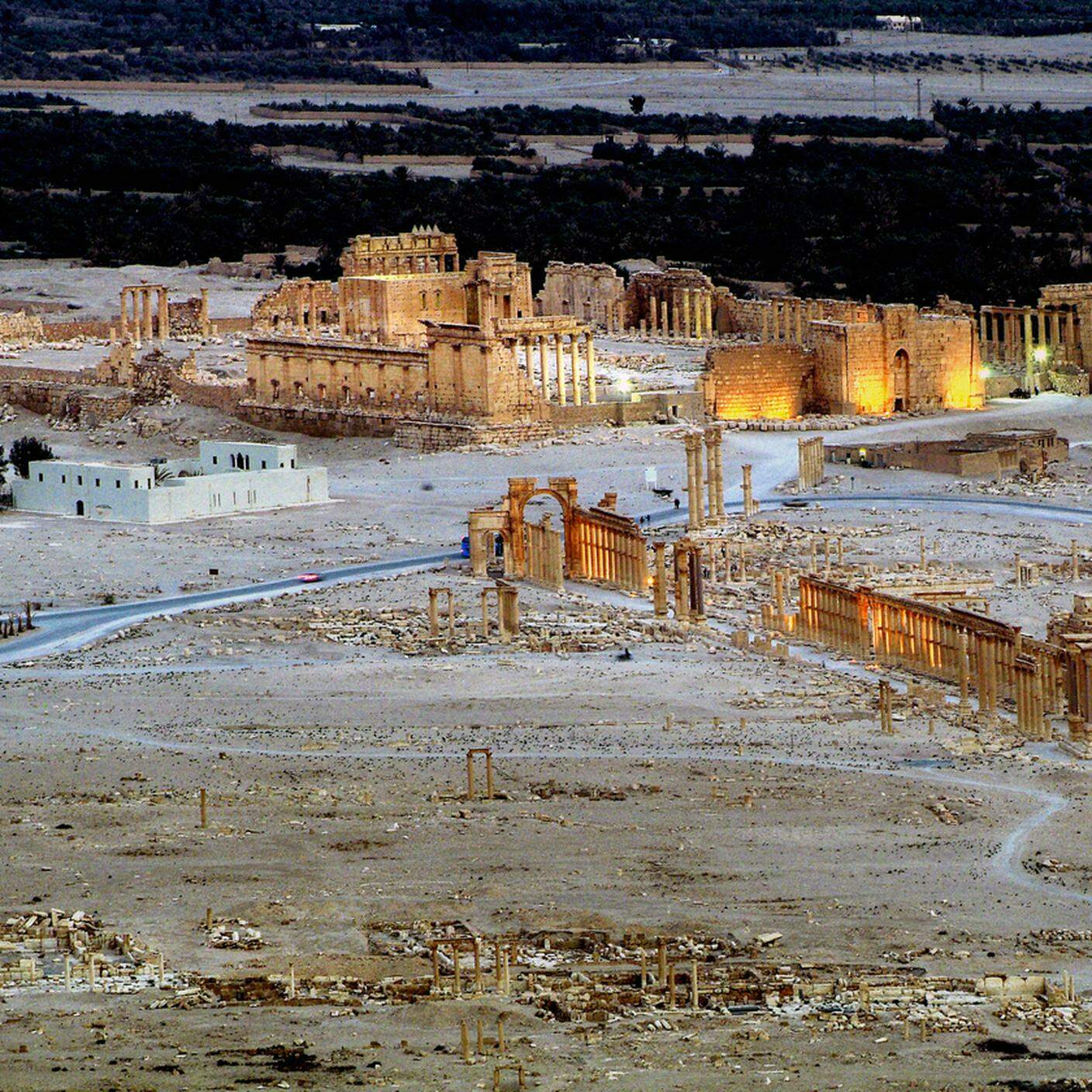 iStock-Luogo d'interesse, Luogo d'interesse nazionale, Monumento, Palmyra, Siria
