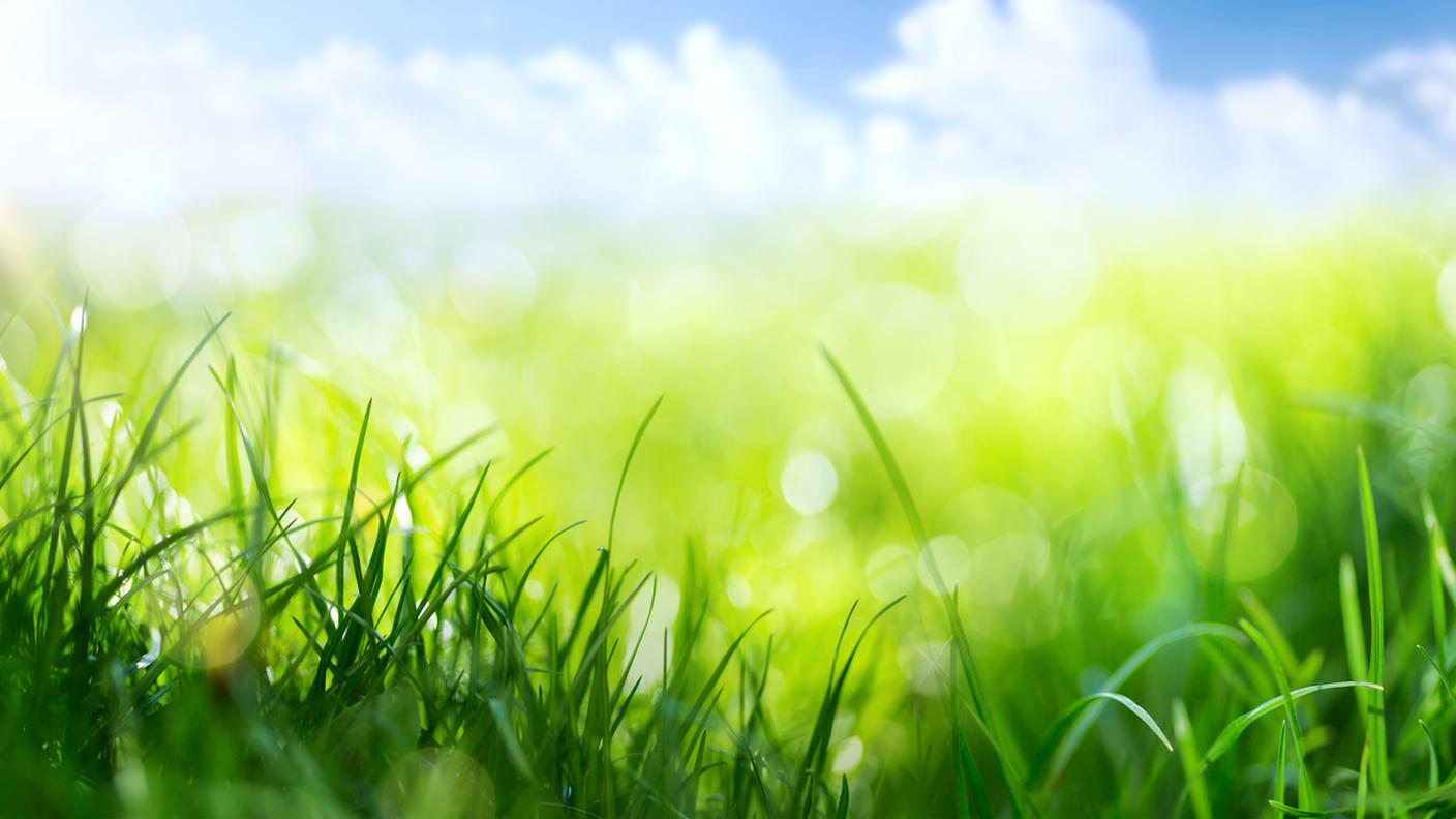 iStock- Verde