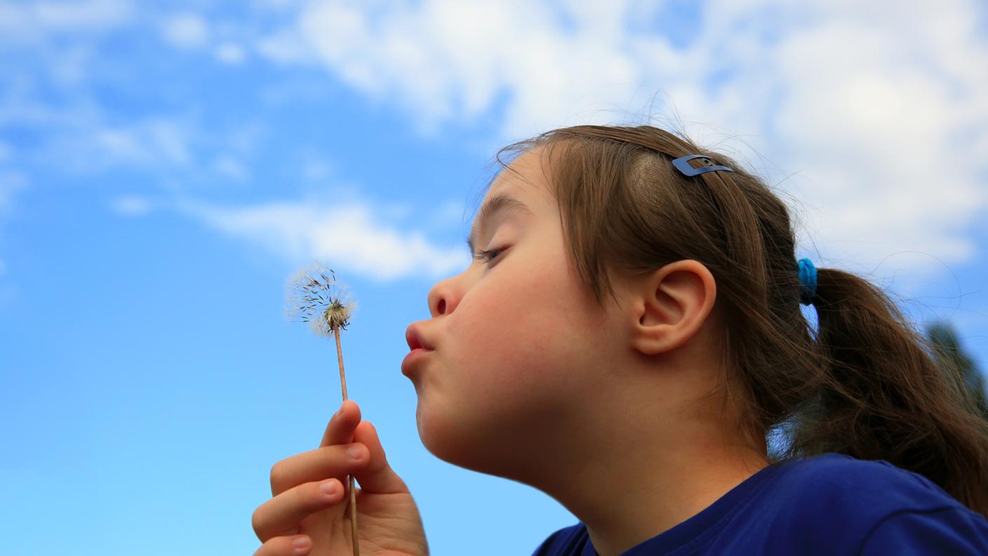 iStock-Bambino, Persone, Bambine femmine, Dente di leone, Persona di sesso femminile