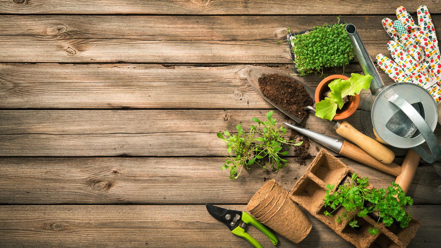 iStock-Giardino 