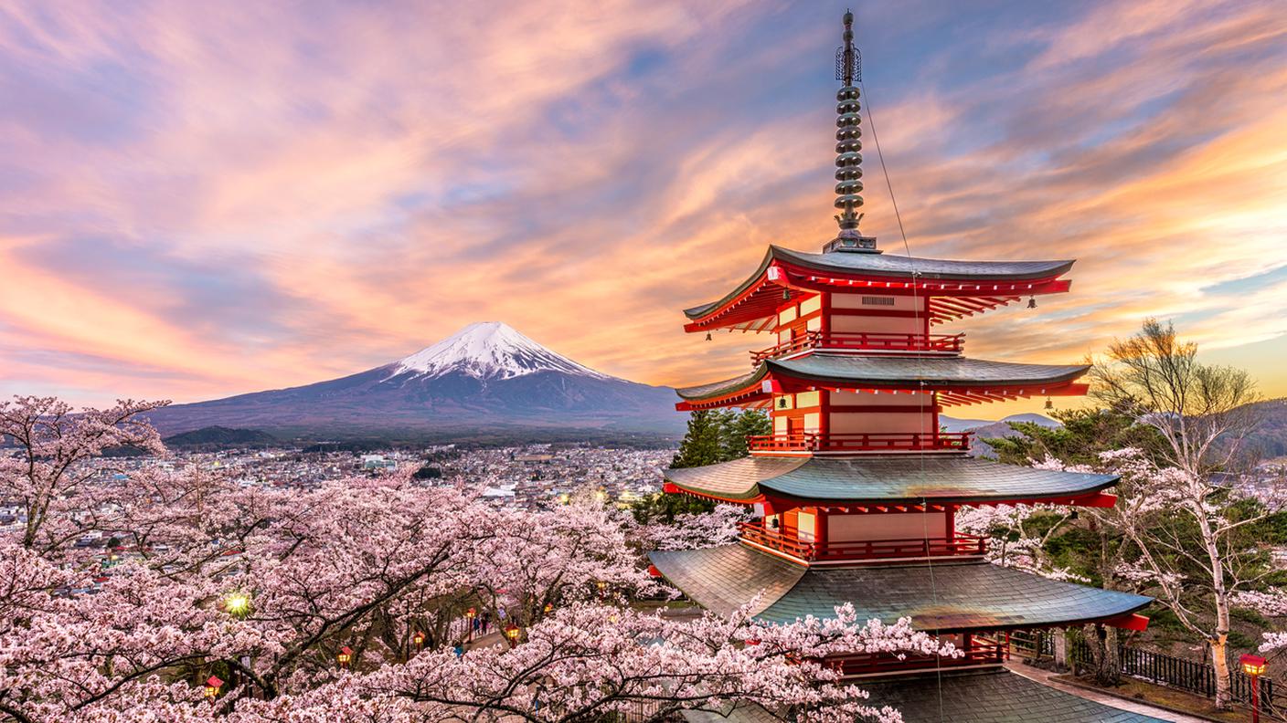 iStock-Giappone, Prefettura di Tokyo, Fiore di ciliegio, Bocciolo, Giardino orientale