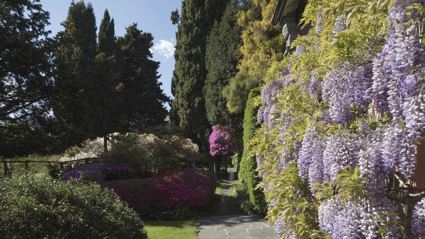 Fondazione Marguerite Arp, Locarno. Foto: Roberto Pellegrini.