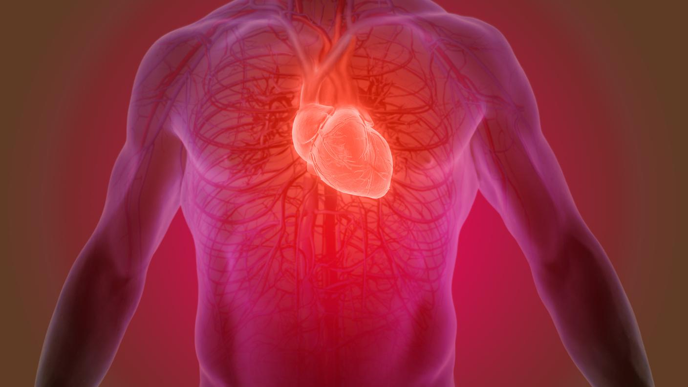 iStock-Cuore umano, Valvola cardiaca, Ospedale, Germania, Arresto cardiaco