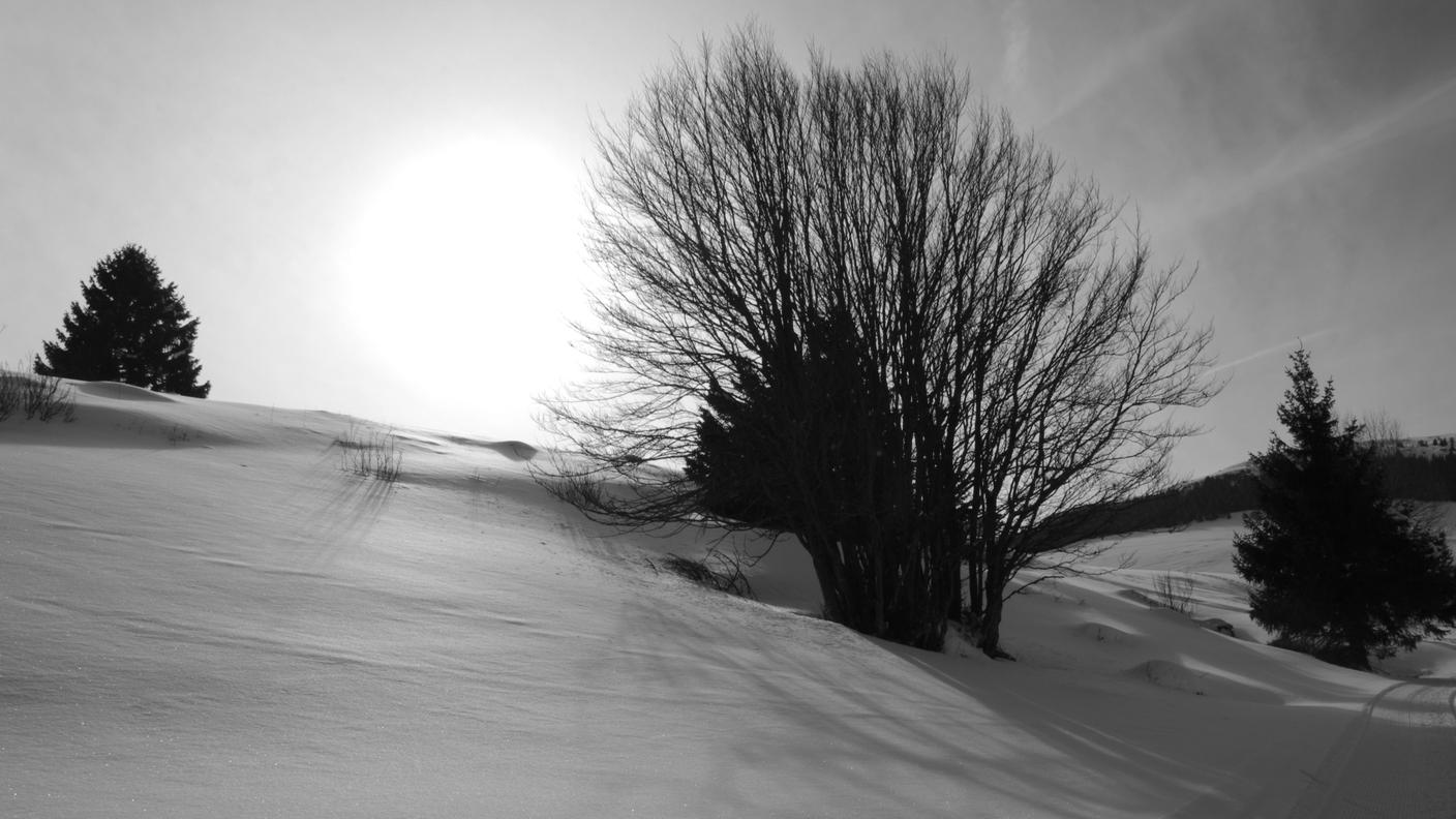 I nostri inverni 5