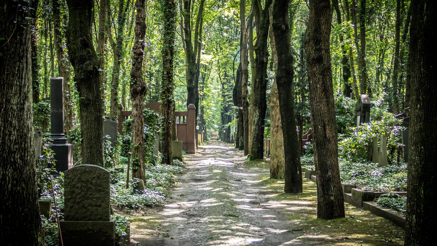 iStock-Bosco, Berlino - Germania, Cimitero, 