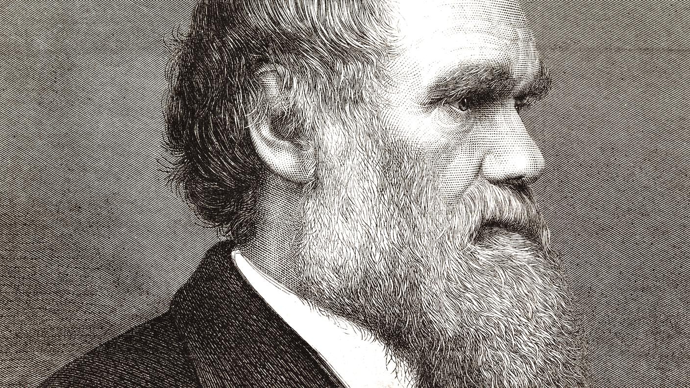 iStock-Darwin