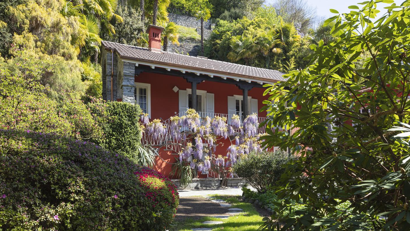 Ronco dei Fiori, Solduno