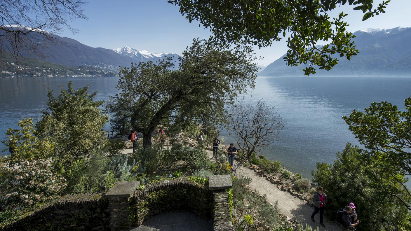 Parco botanico delle Isole di Brissago.jpg