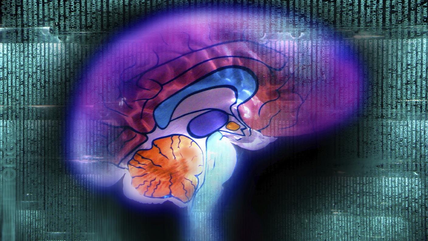 mente cervello ordine