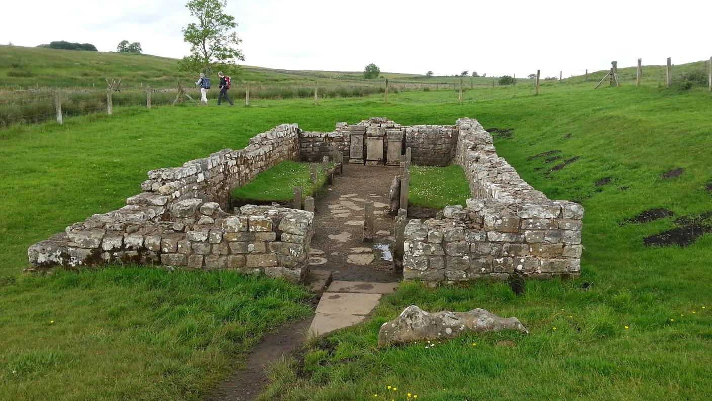 Brocolitia