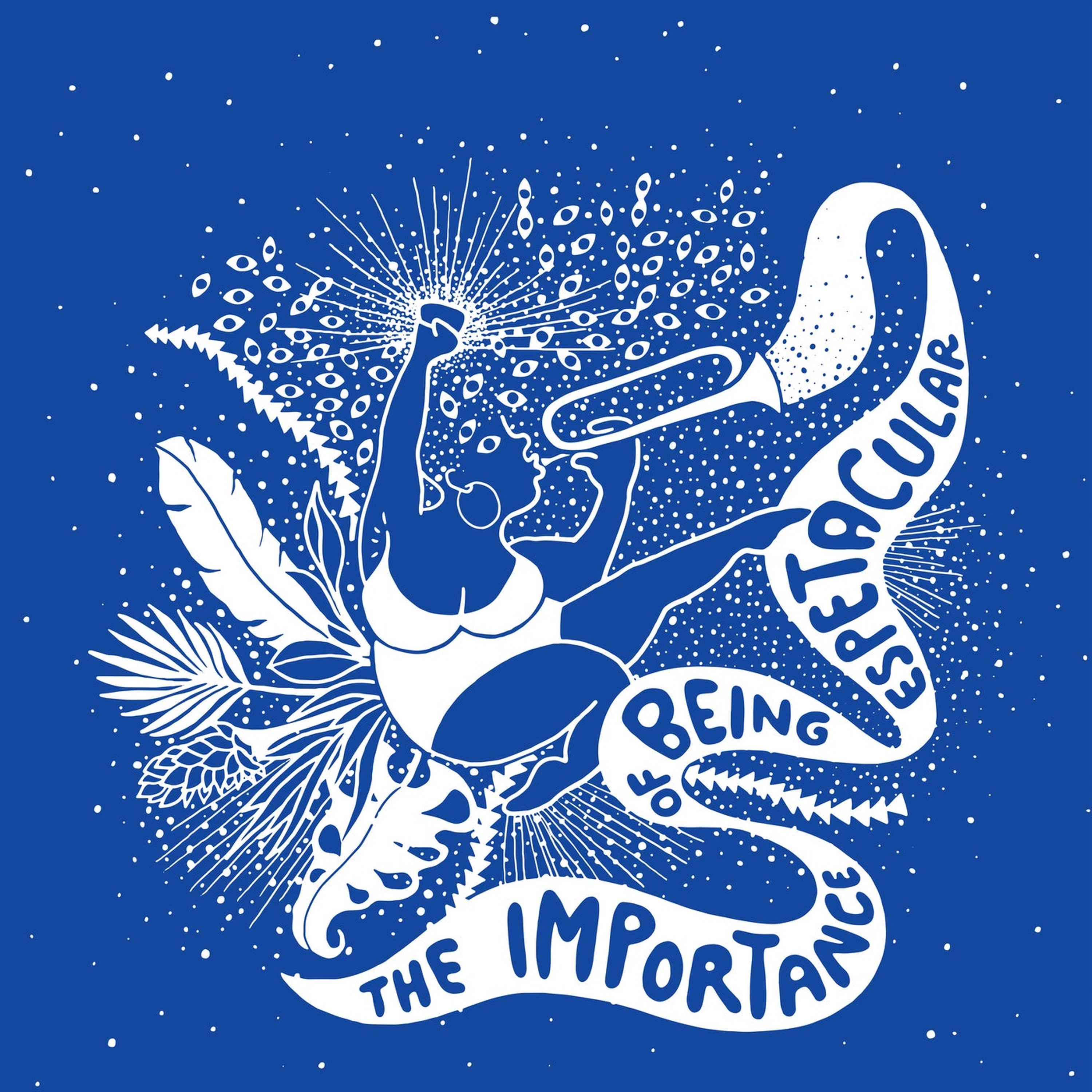 L’importante è essere spettacolari episode artwork