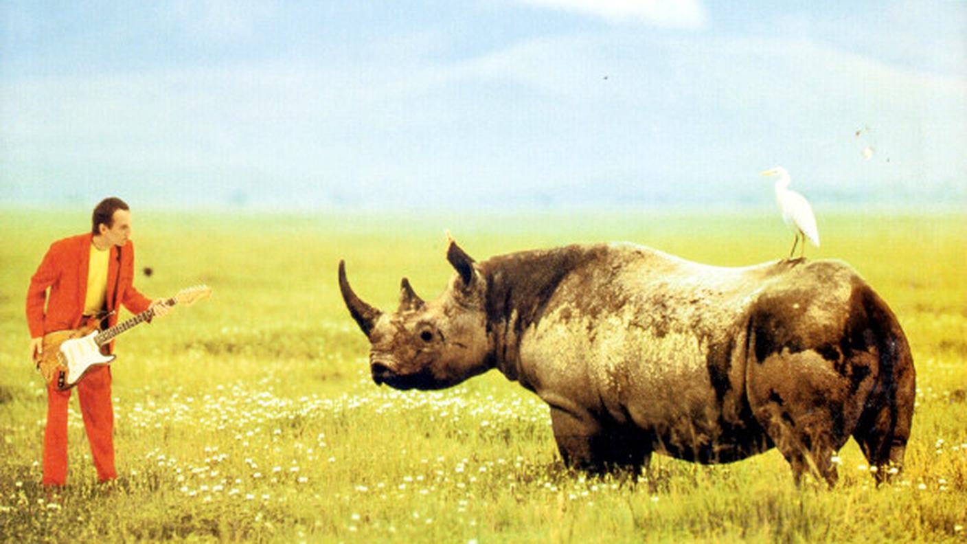 "Lone Rhino" di Adrian Belew, Island Records (dettaglio di copertina)
