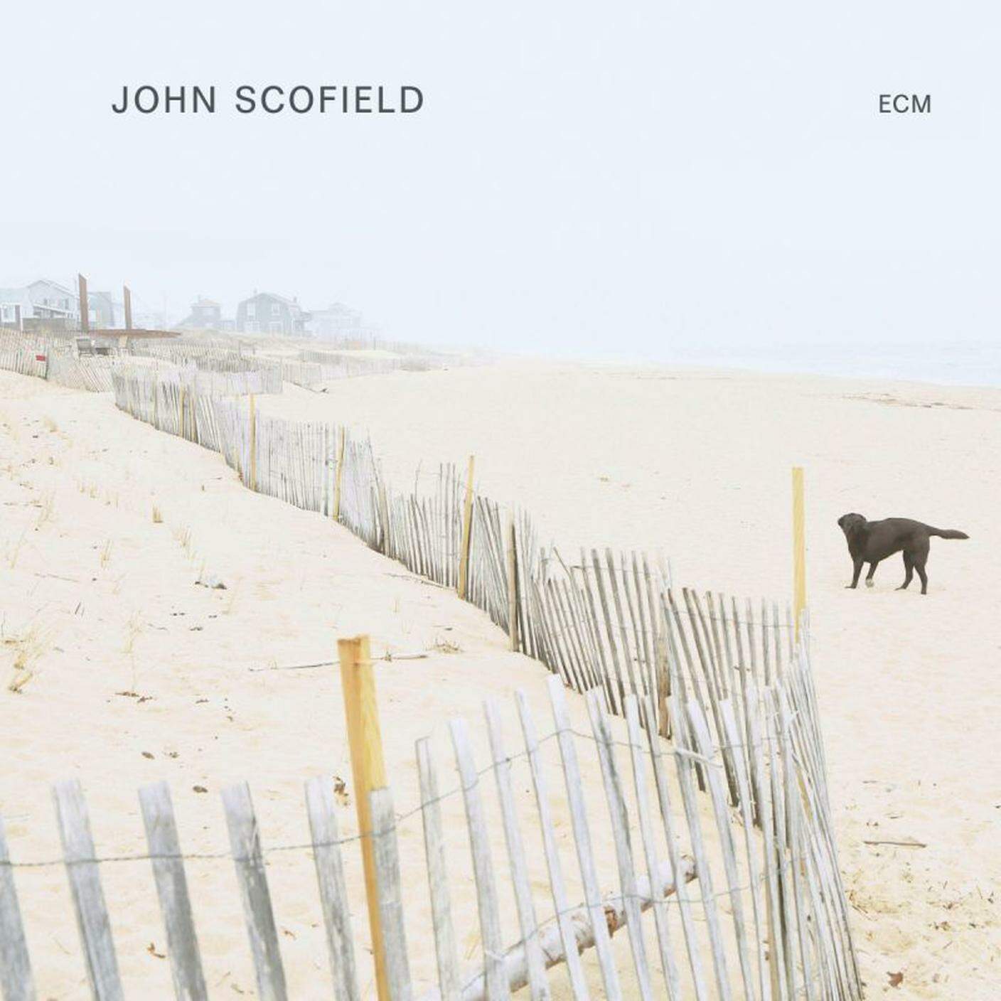 "John Scofield" di John Scofield; ECM (dettaglio copertina) 