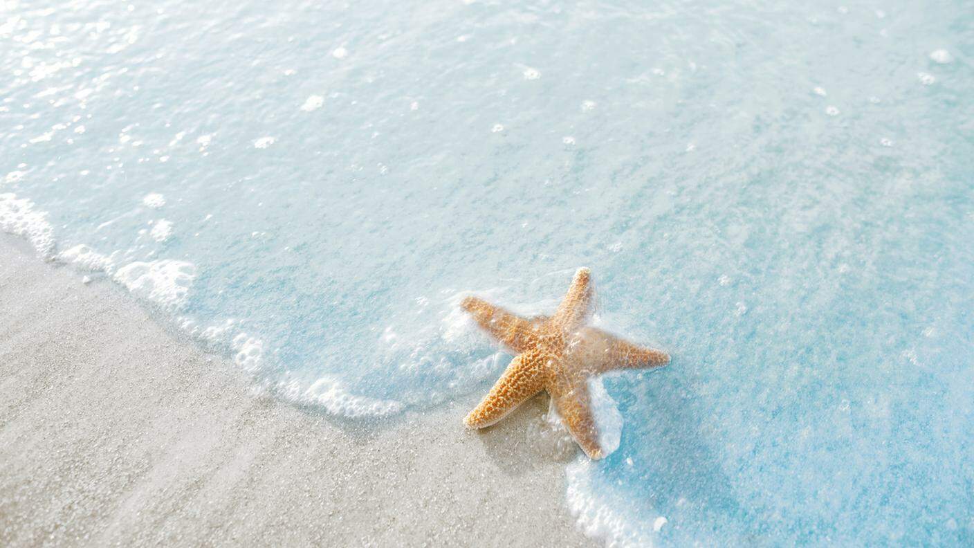 iStock-A forma di stella, Sabbia, Riflesso, Carolina del Sud, Hilton Head