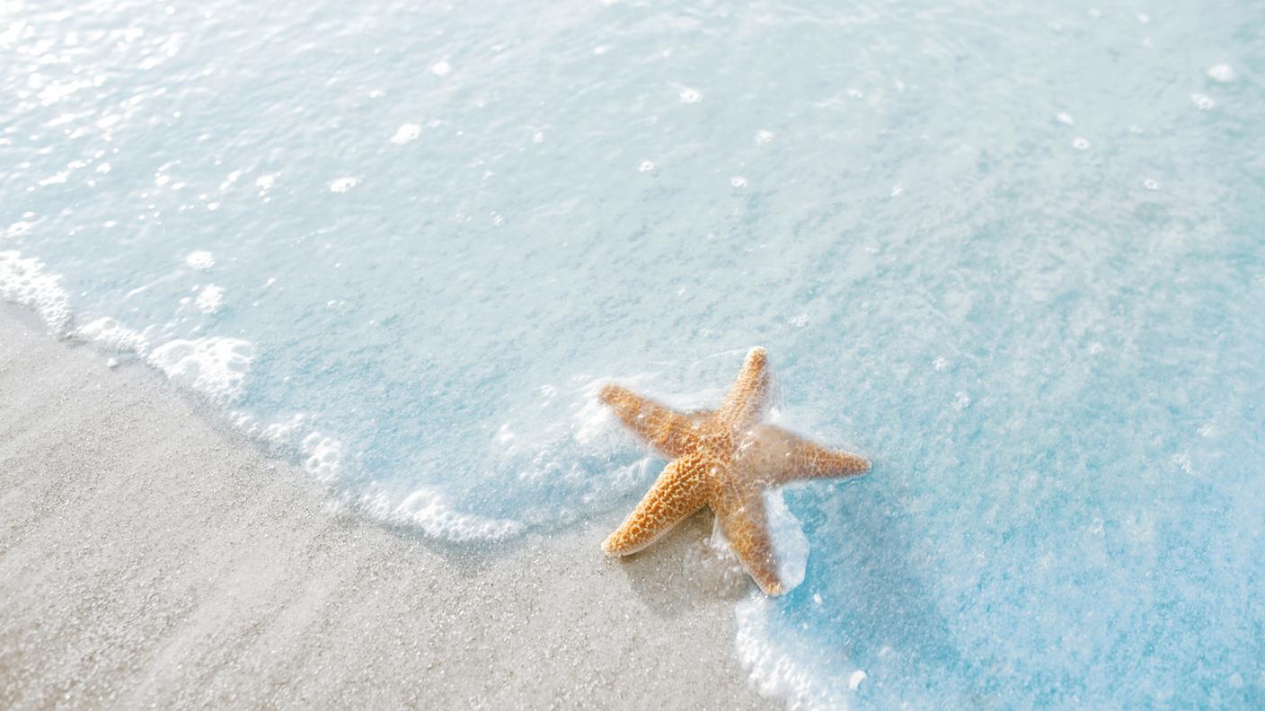 iStock-A forma di stella, Sabbia, Riflesso, Carolina del Sud, Hilton Head