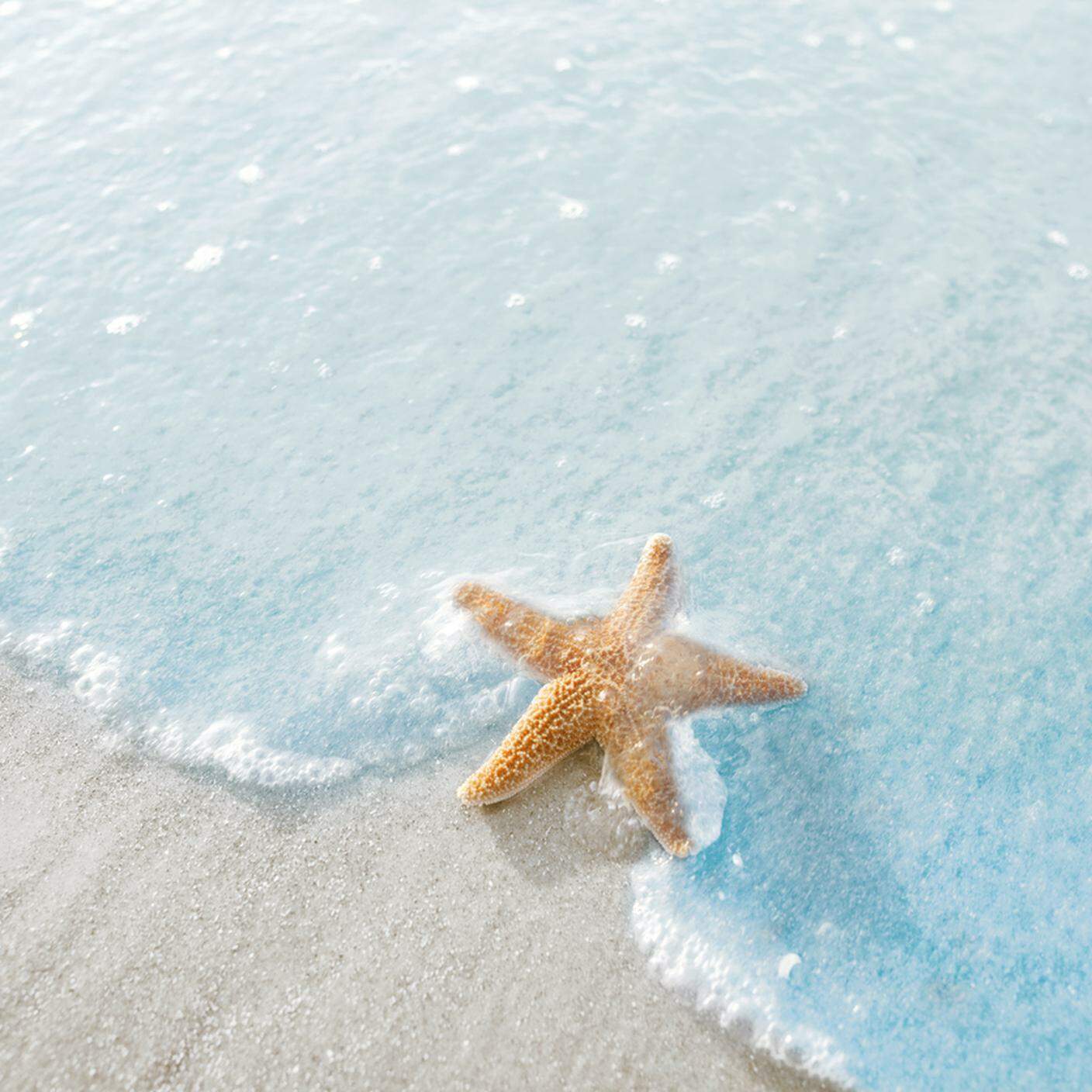 iStock-A forma di stella, Sabbia, Riflesso, Carolina del Sud, Hilton Head