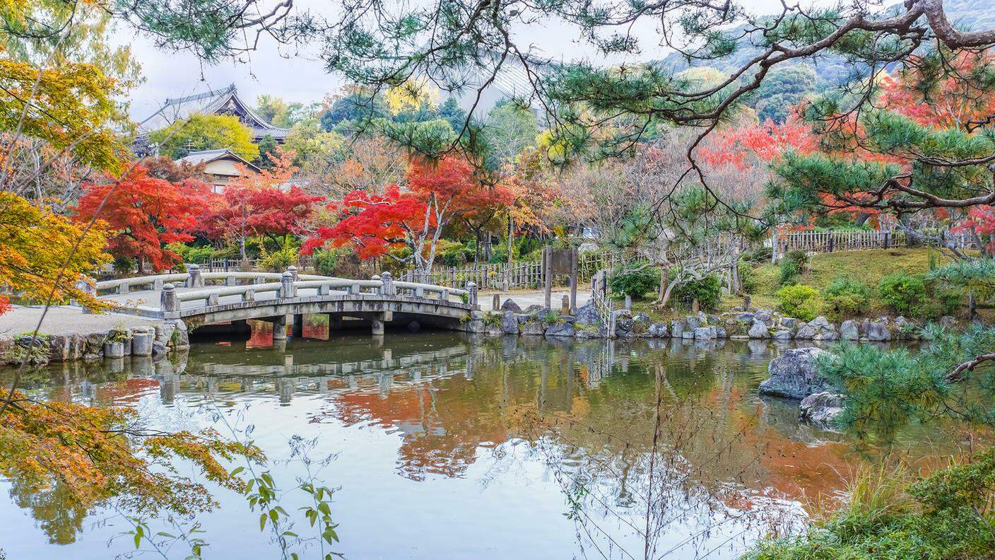 Maruyama Park di Kyoto, Giappone