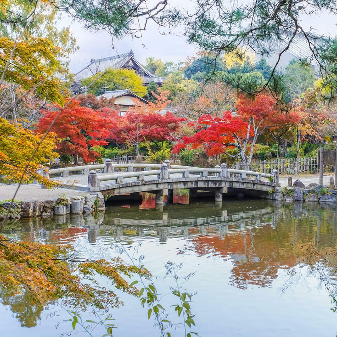 Maruyama Park di Kyoto, Giappone