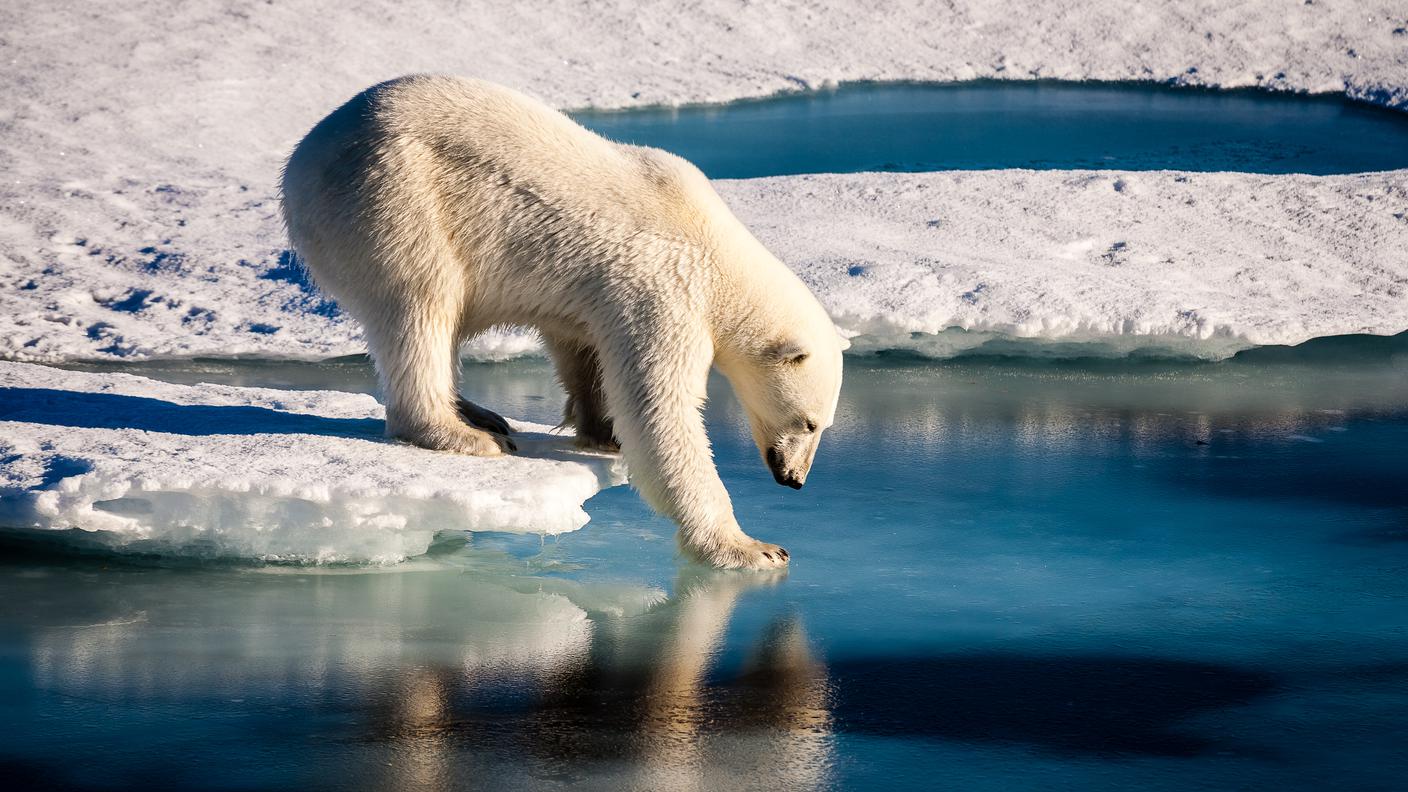 Capire il cambiamento climatico