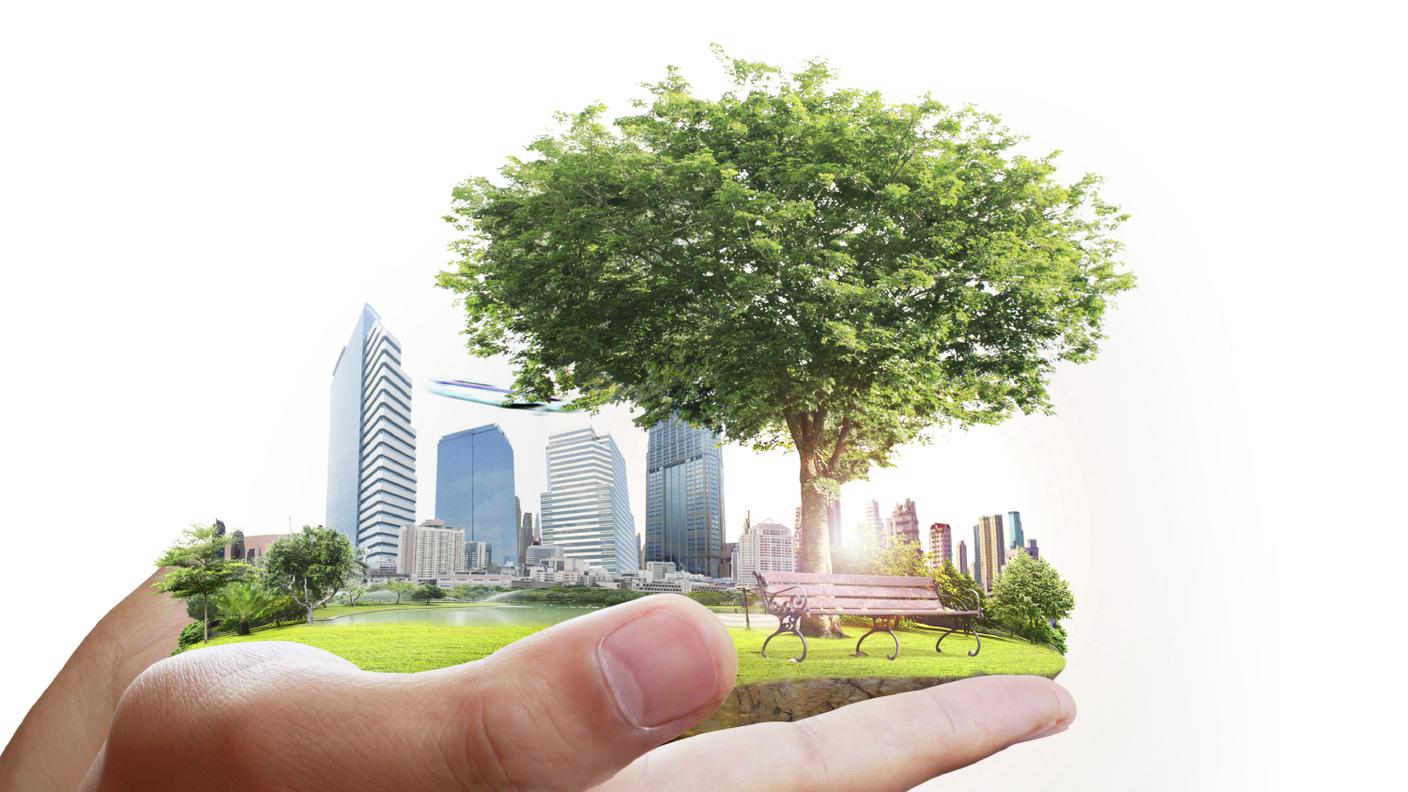 albero, verde, città, natura