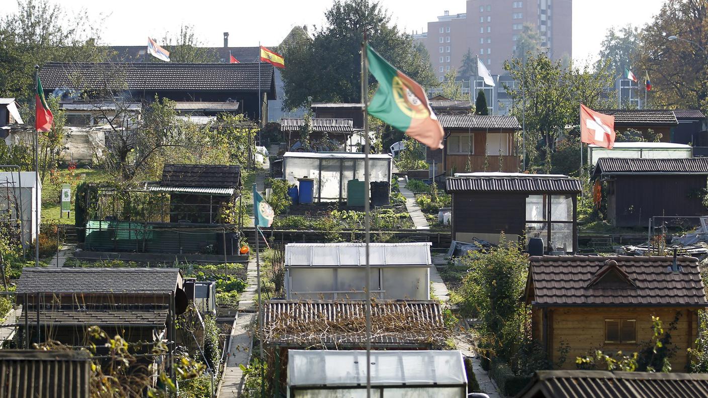 Orto urbano a Berna