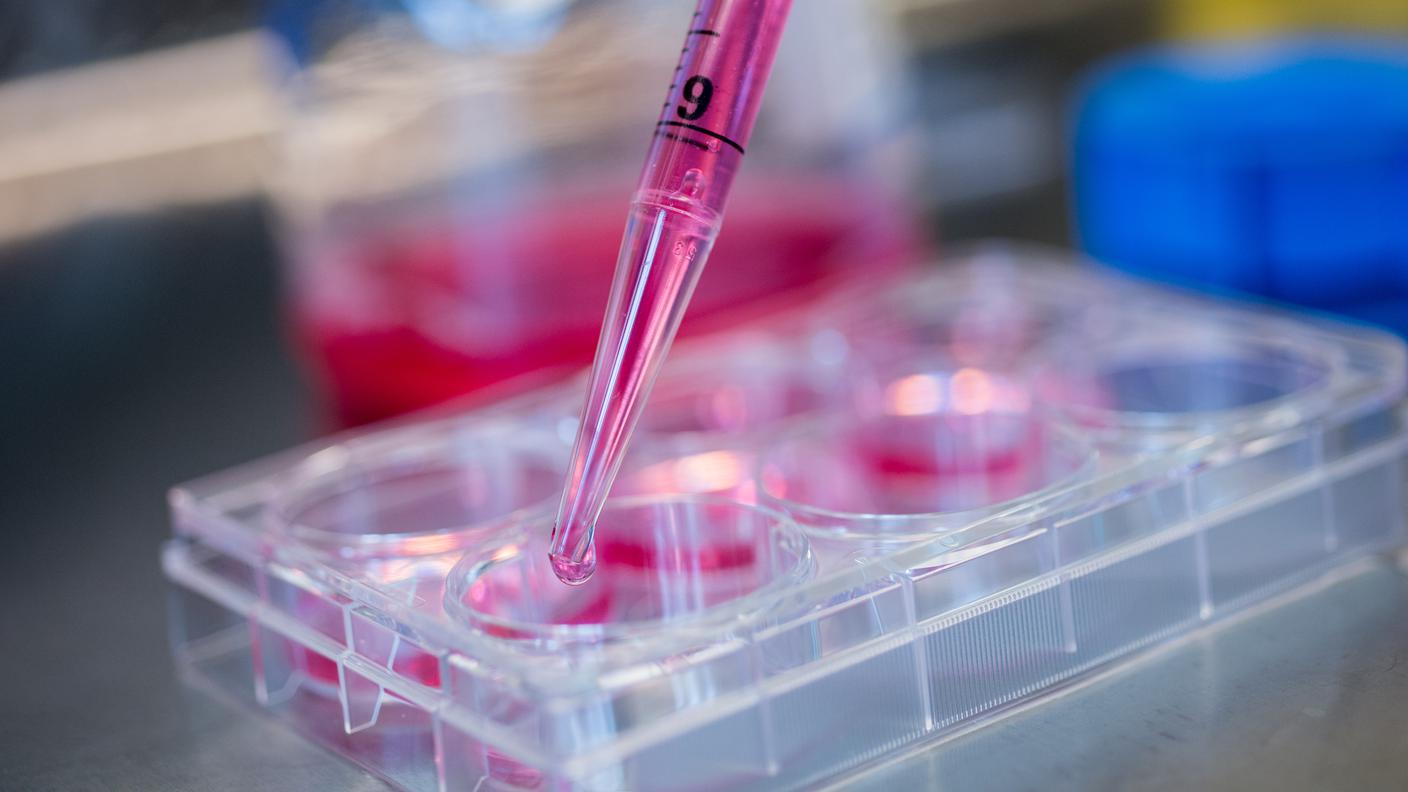 Ricerca medica, biomedicina