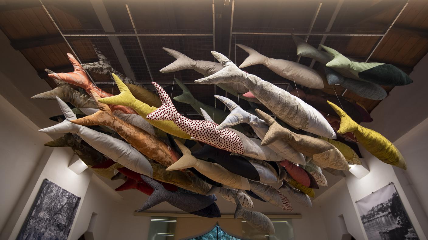 Installazione Nuoto d'aria