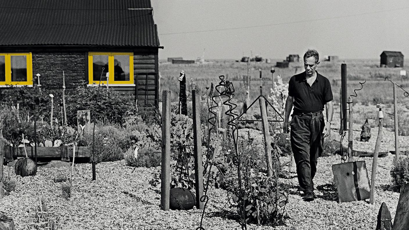 Alessandra Novaga, "I Should Have Been a Gardener”, Die Schachtel (dettaglio copertina)