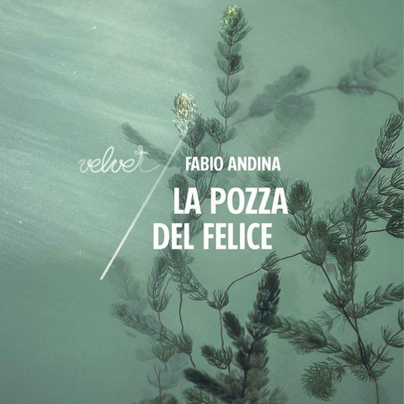 “La pozza del Felice” di Fabio Andina, Rubbettino (dettaglio copertina)