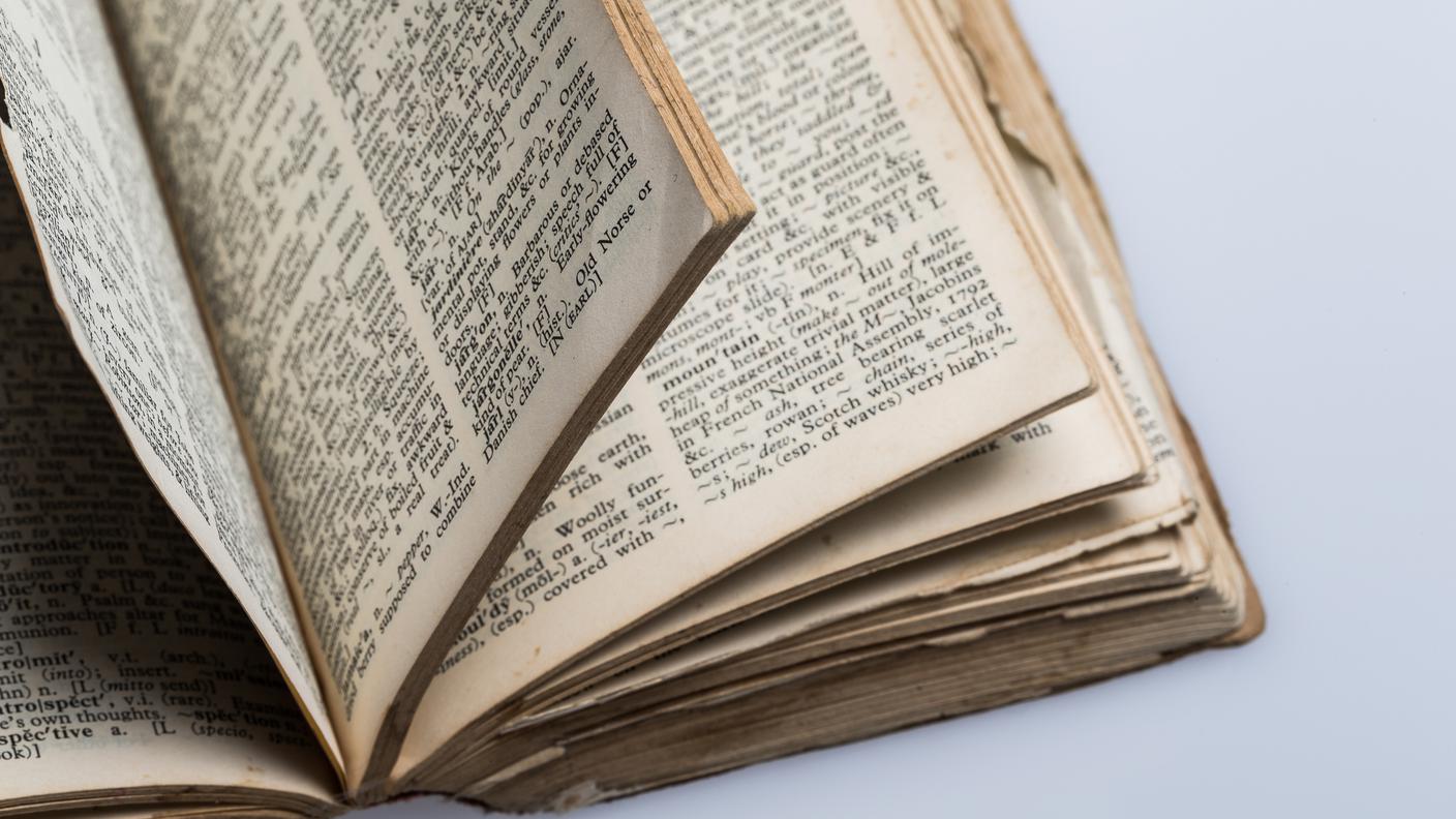 iStock- dizionario 