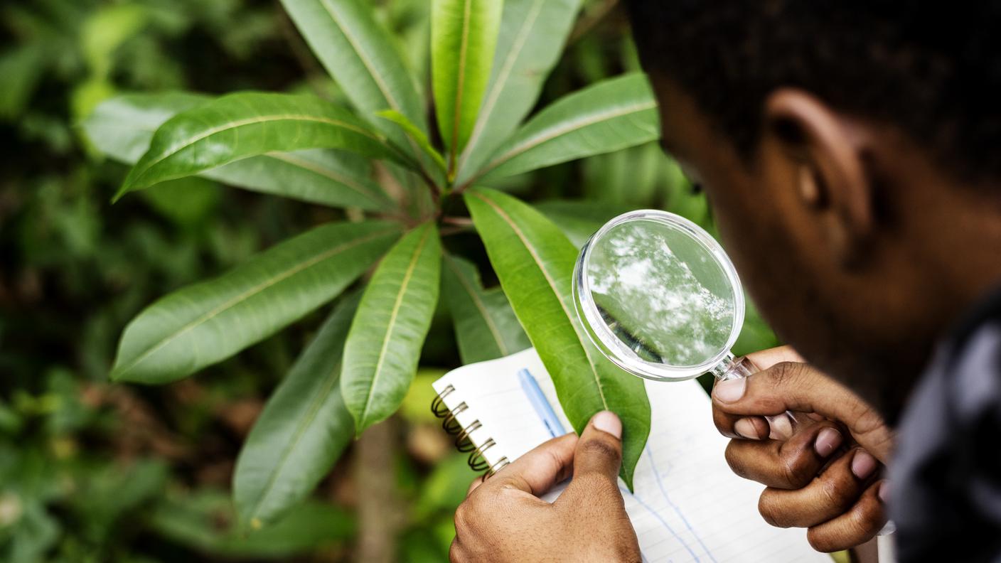 Biologo in una foresta 