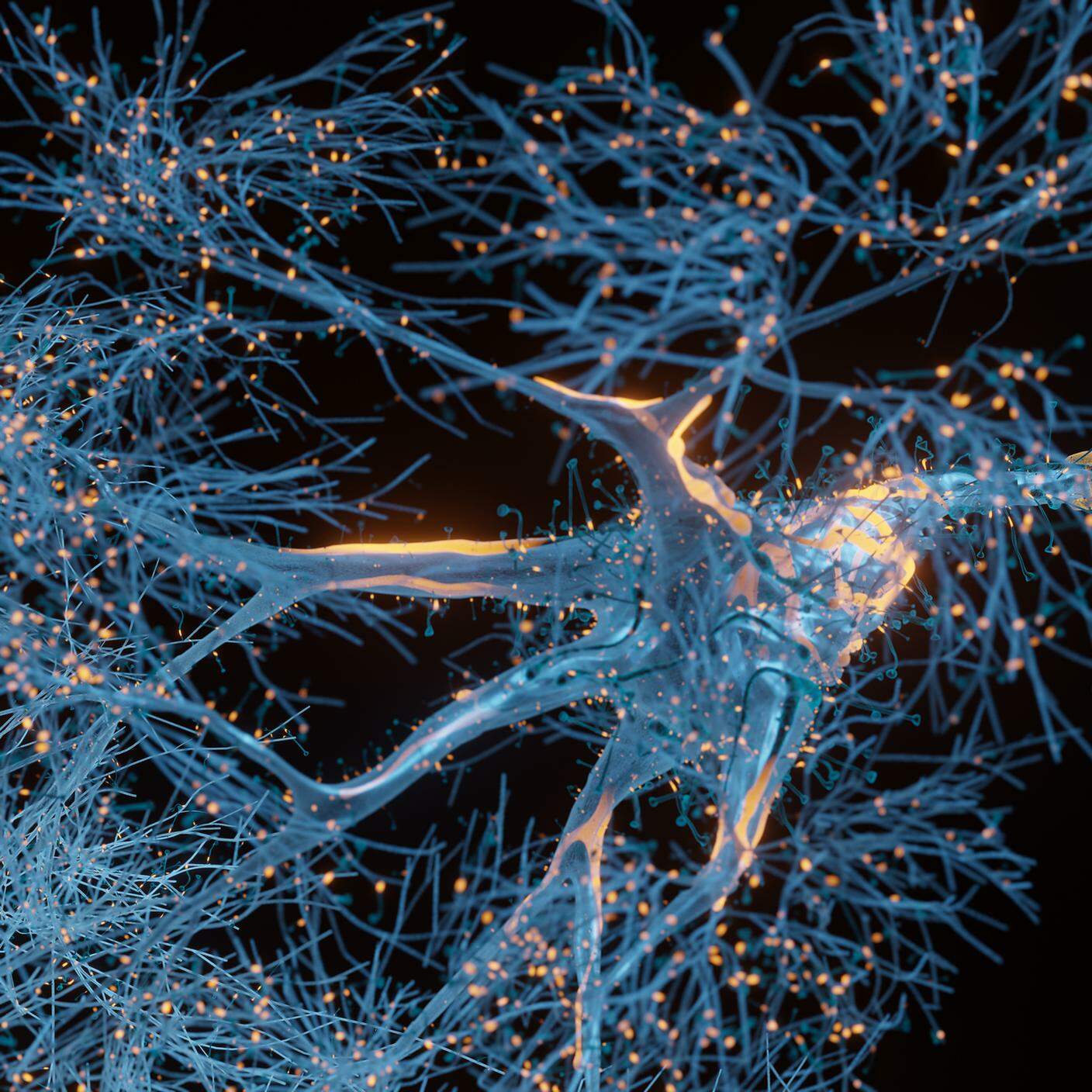 Cellule neuronali 