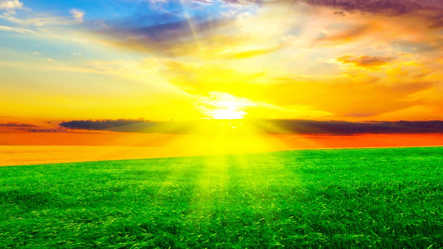 Tramonto sul campo di grano
