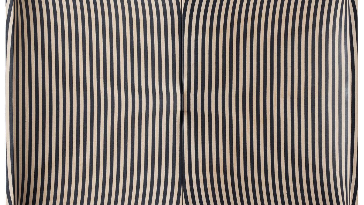 “Superficie rigata bianca e blu” (1963)