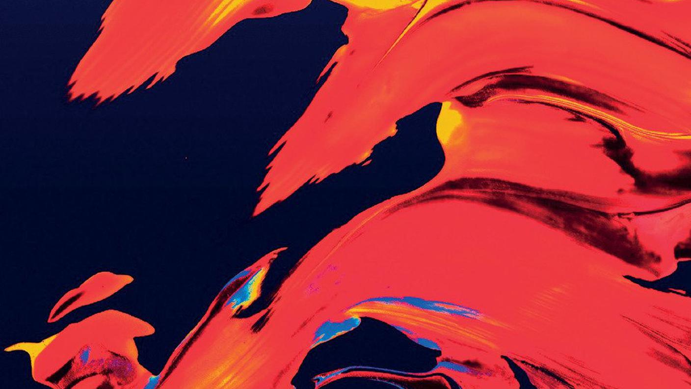 Silvana Borutti, "Nodi della verità. Concetti e strumenti per le scienze umane" (dettaglio copertina)