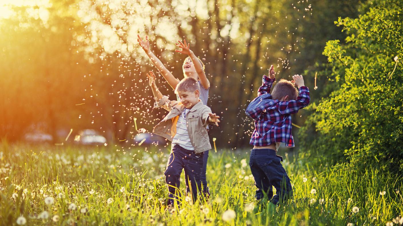 iStock-Primavera, Sorridere, Fratelli e sorelle, Sorriso aperto, Bambino
