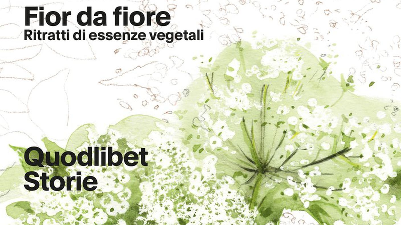 "Fior da fiore" di Angela Borghesi, Quodlibet (dettaglio di copertina)