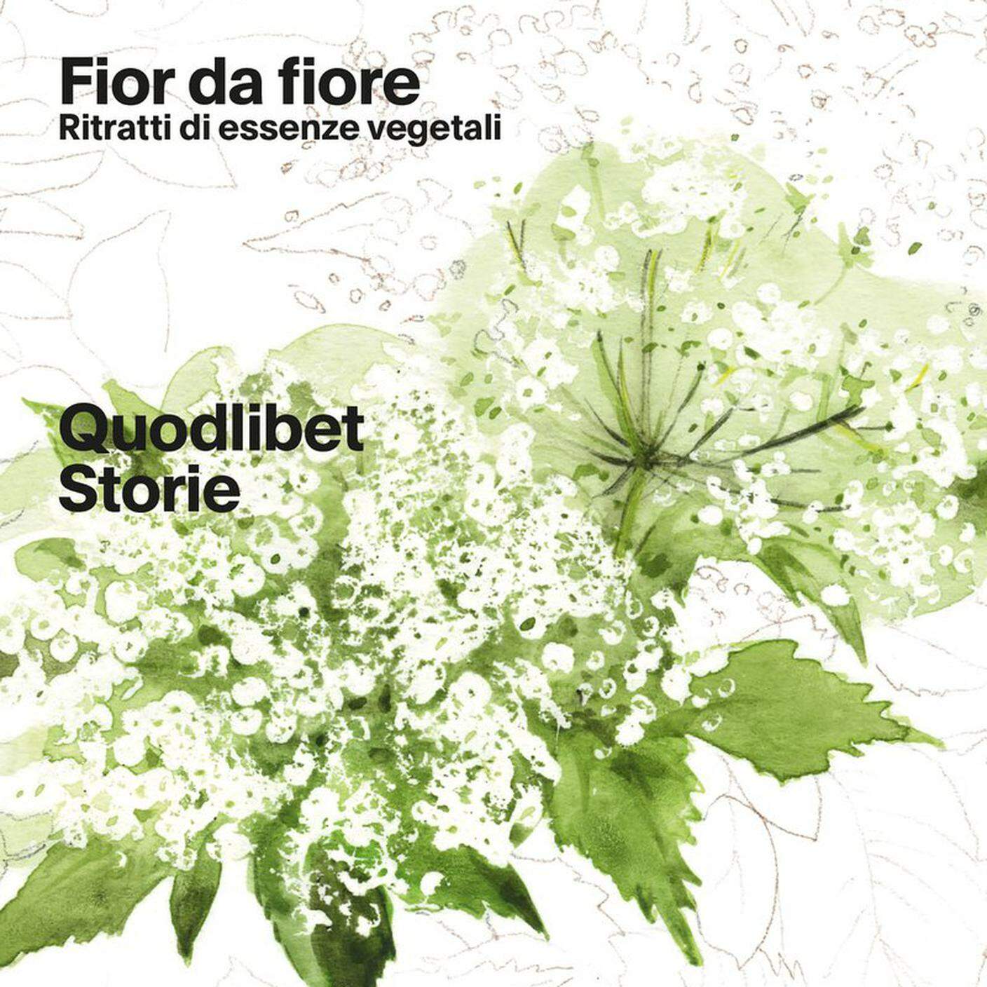 "Fior da fiore" di Angela Borghesi, Quodlibet (dettaglio di copertina)