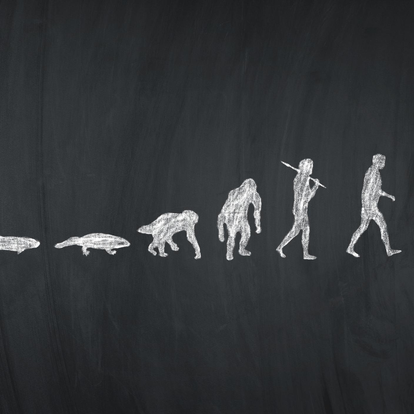 iStockTecnologia, Sviluppo, Evoluzione, Cambiamento, Charles Robert Darwin