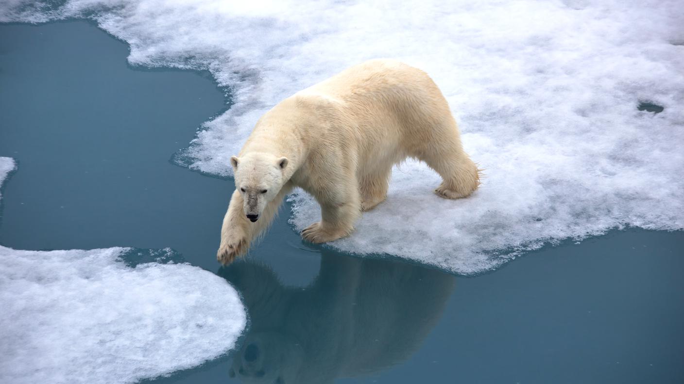 Cambiamento climatico