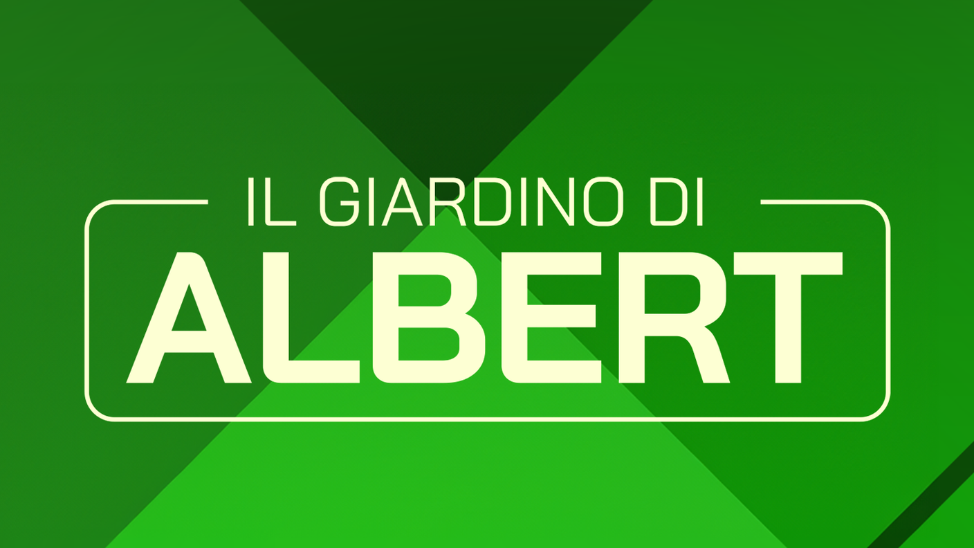 1x1-giardino_di_albert 