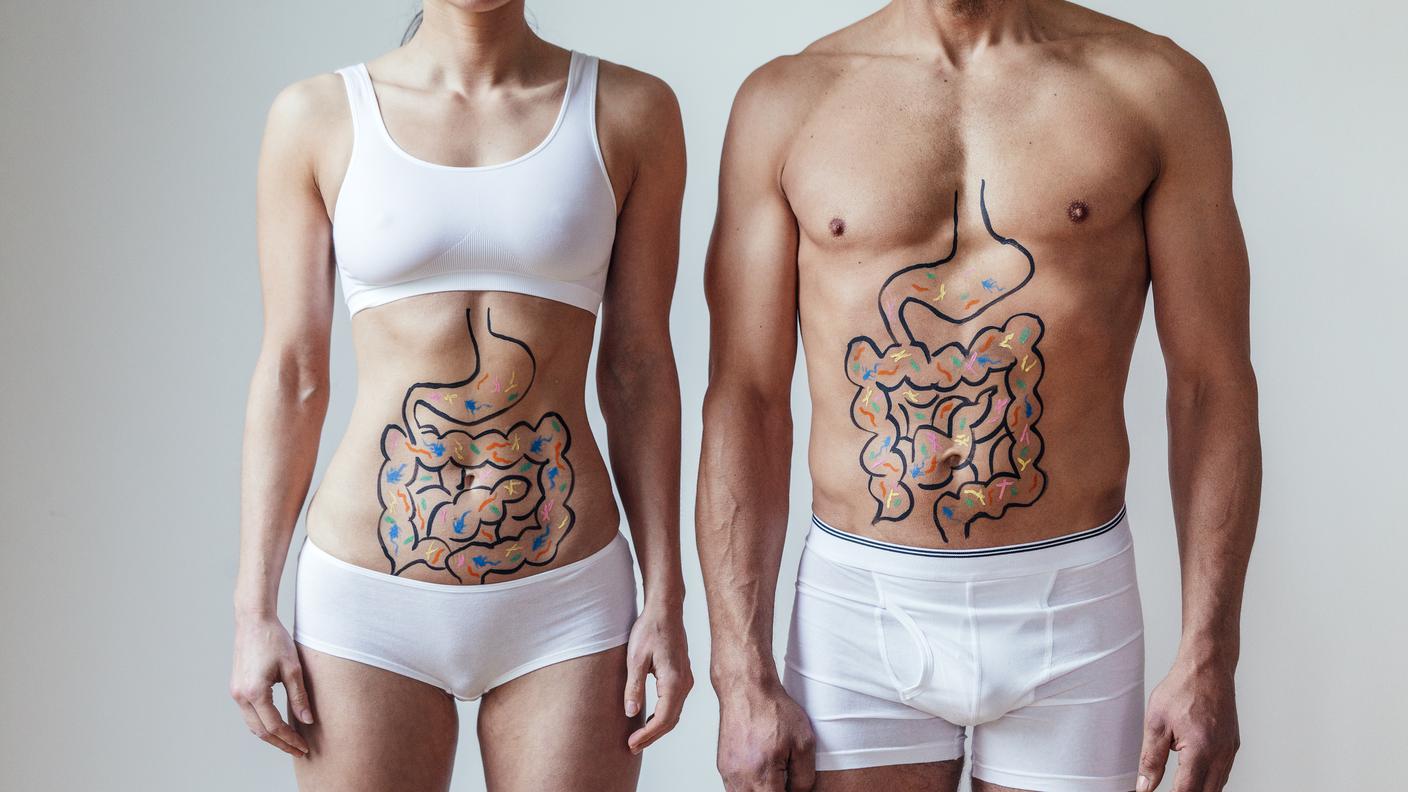 Il nostro sorprendente secondo cervello (l’intestino!)
