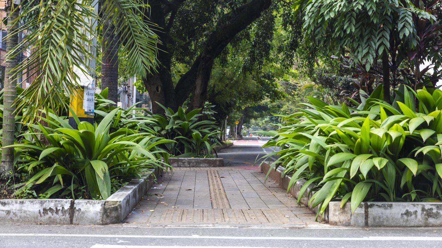 Biodiversità urbana