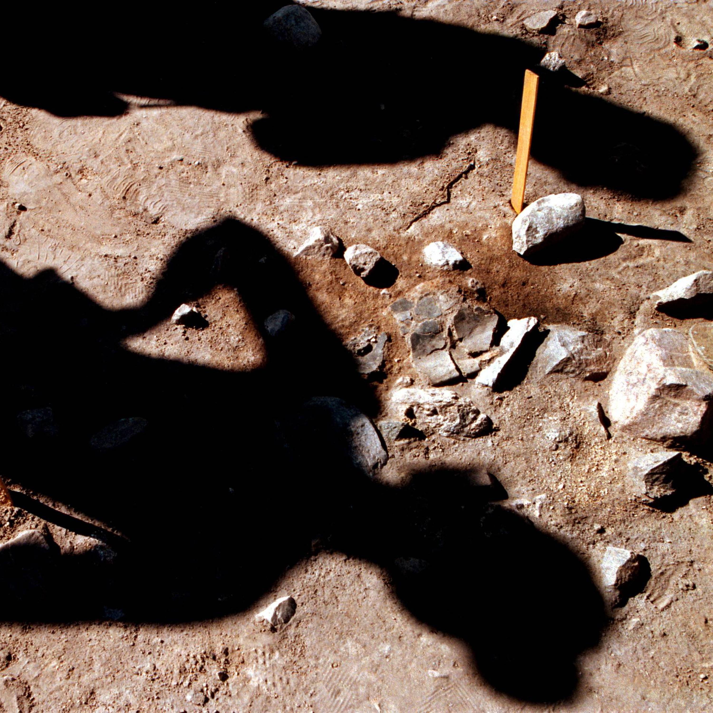 Imparare dalla preistoria