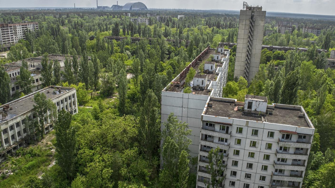 natura, Chernobyl 