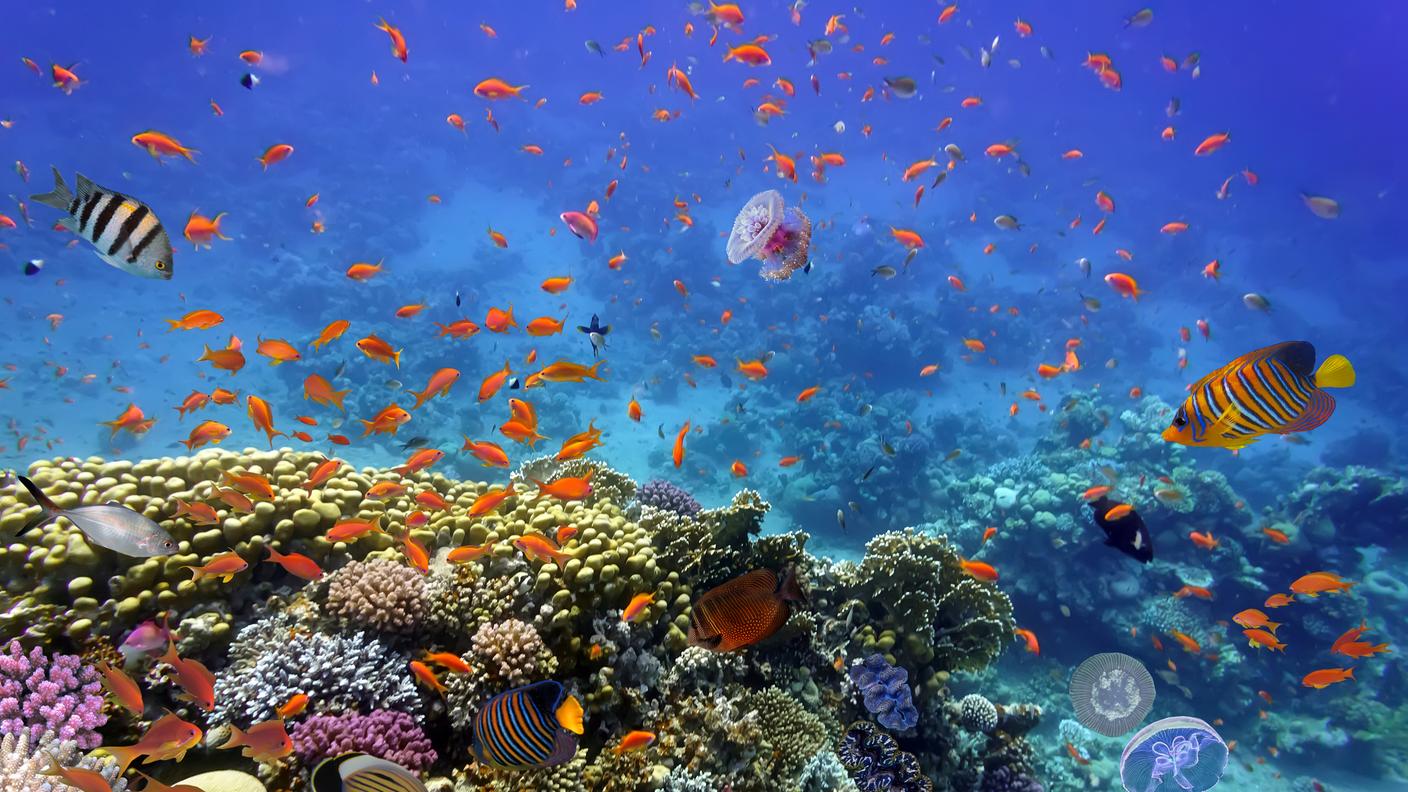 fondo dell'oceano